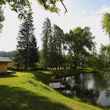 Haus Am Fischteich Apartment Feistritz ob Bleiburg ภายนอก รูปภาพ