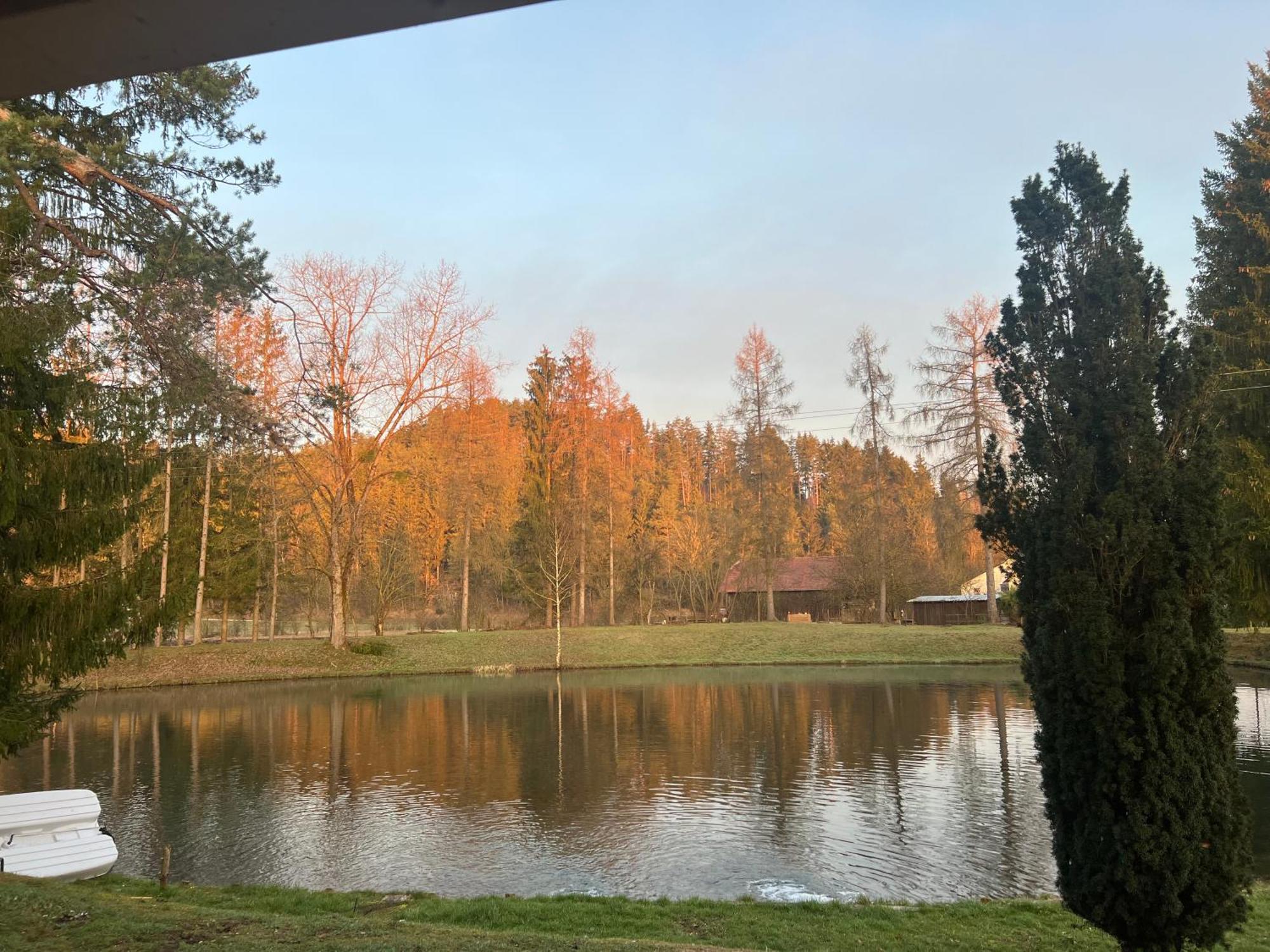 Haus Am Fischteich Apartment Feistritz ob Bleiburg ภายนอก รูปภาพ