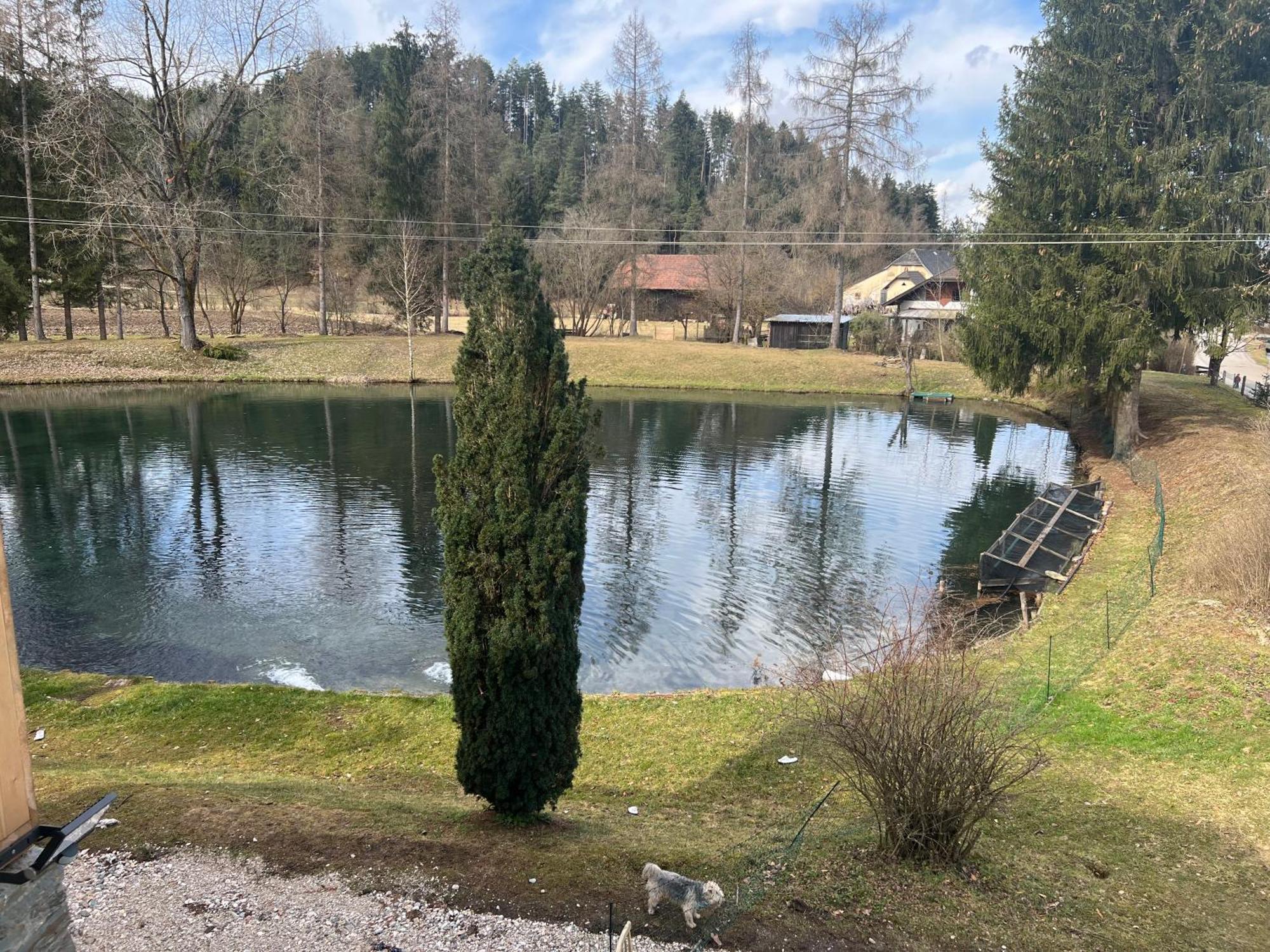 Haus Am Fischteich Apartment Feistritz ob Bleiburg ภายนอก รูปภาพ