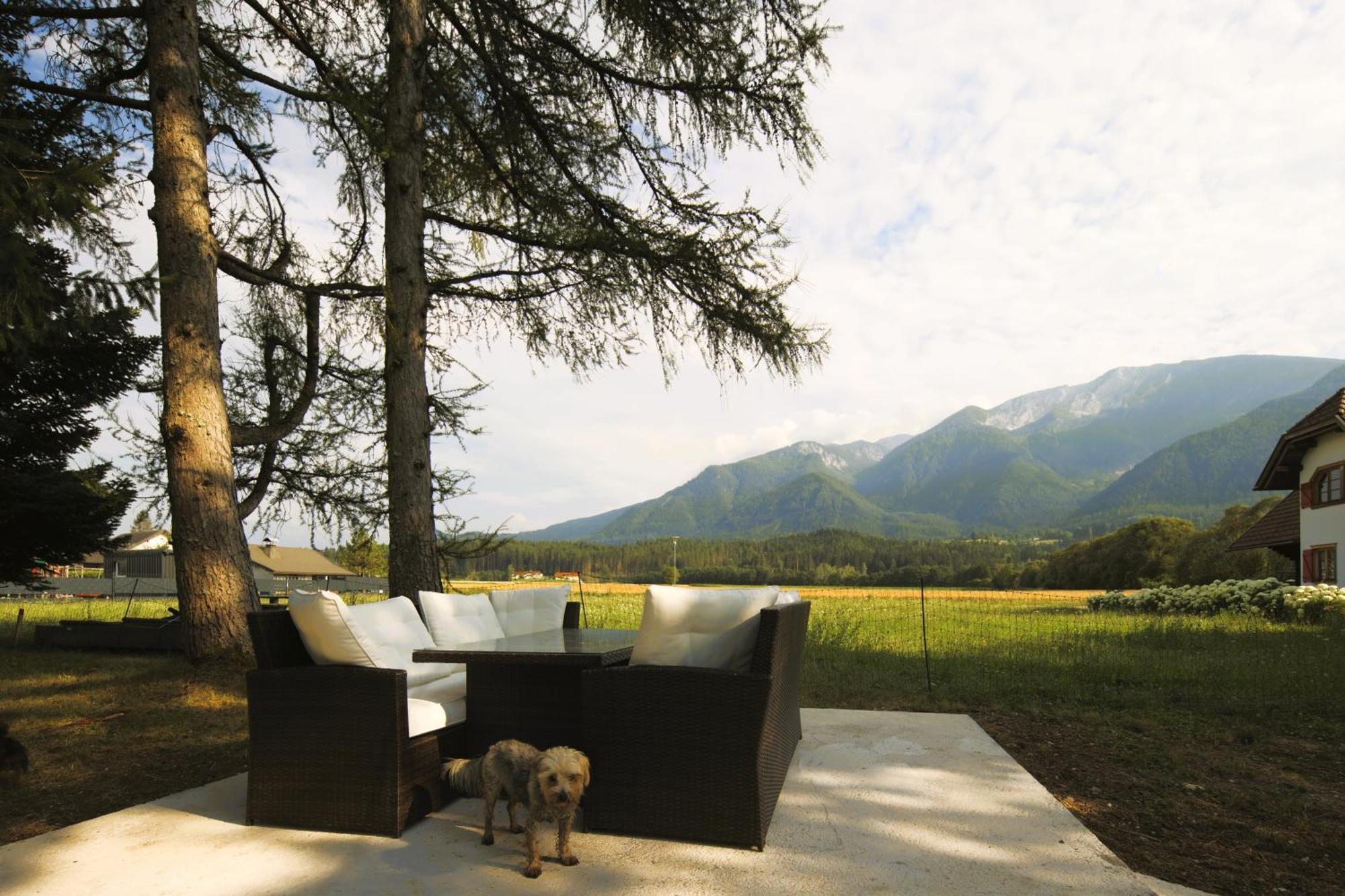 Haus Am Fischteich Apartment Feistritz ob Bleiburg ภายนอก รูปภาพ