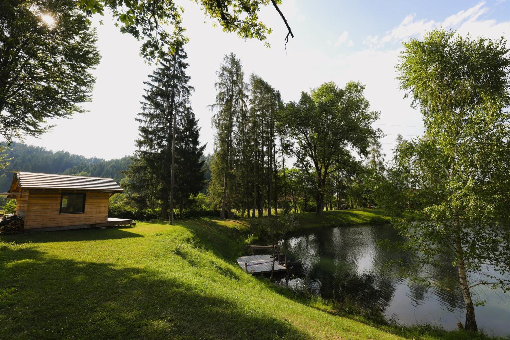 Haus Am Fischteich Apartment Feistritz ob Bleiburg ภายนอก รูปภาพ